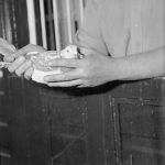 LIBERATION OF EUROPE : PIGEON BRINGS FIRST INVASION NEWS